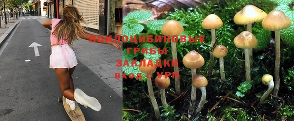 apvp Абдулино
