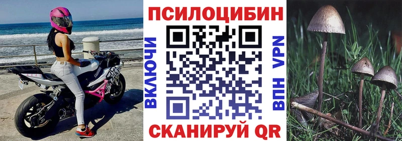 Галлюциногенные грибы Psilocybine cubensis  продажа наркотиков  Энем 